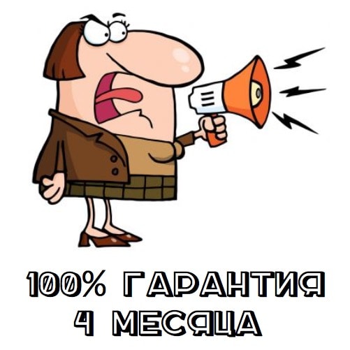 100% Гарантия 4 месяца 100% Гарантия 4 месяца